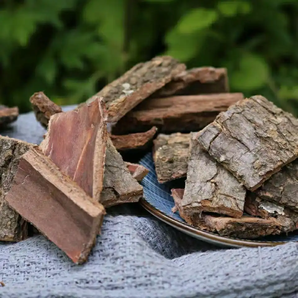 Top Health Benefits of Pine Bark Extract Powder